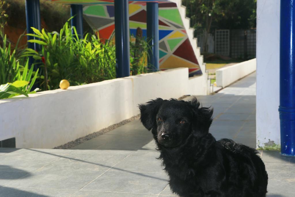 Cristama Residence Inn Ubatuba Exterior photo